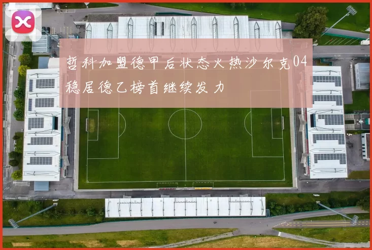 哲科加盟德甲后状态火热沙尔克04稳居德乙榜首继续发力